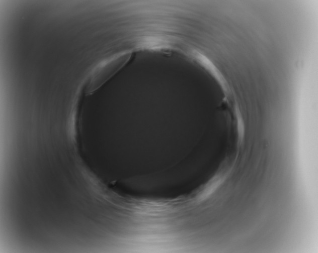 X0000088470387200706051346