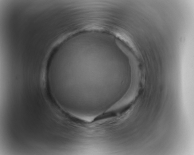 X0000088470388200706051346