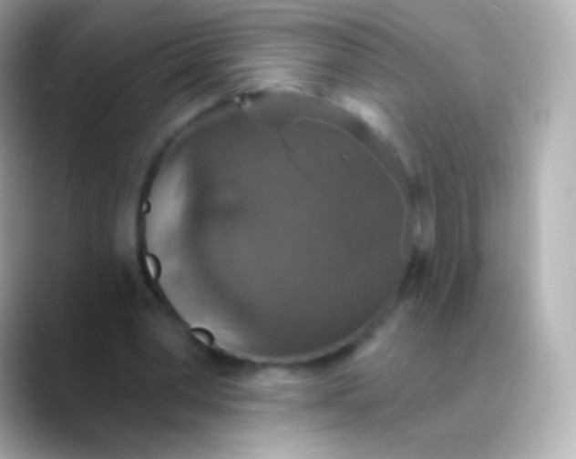 X0000088470390200706051346