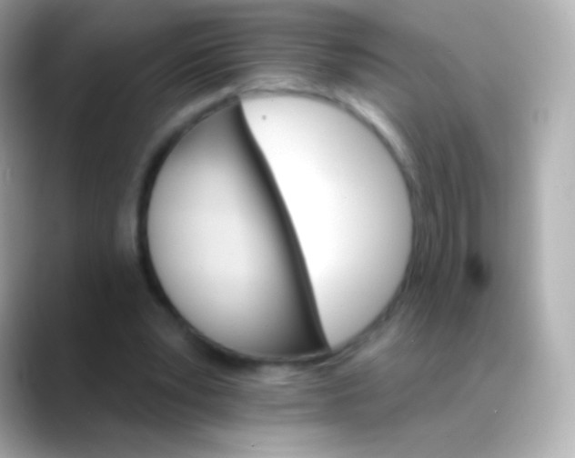 X0000088470391200706051346