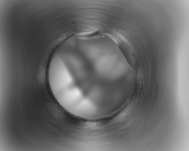 X0000088470394200706051346