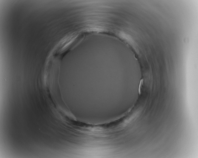 X0000088470395200706051346