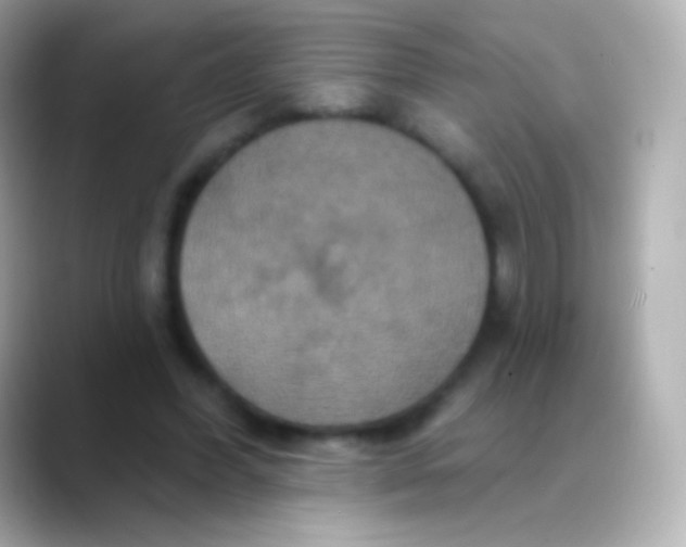 X0000088470396200706051346