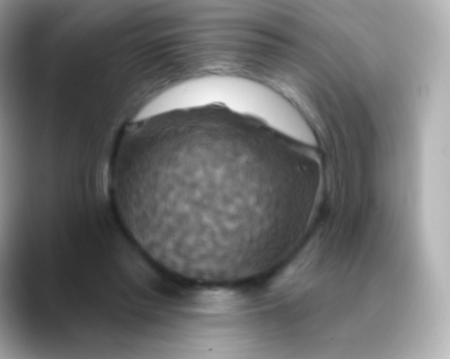 X0000088470397200706051346