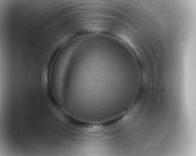 X0000088470398200706051346