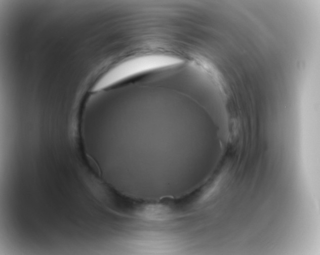 X0000088470399200706051346