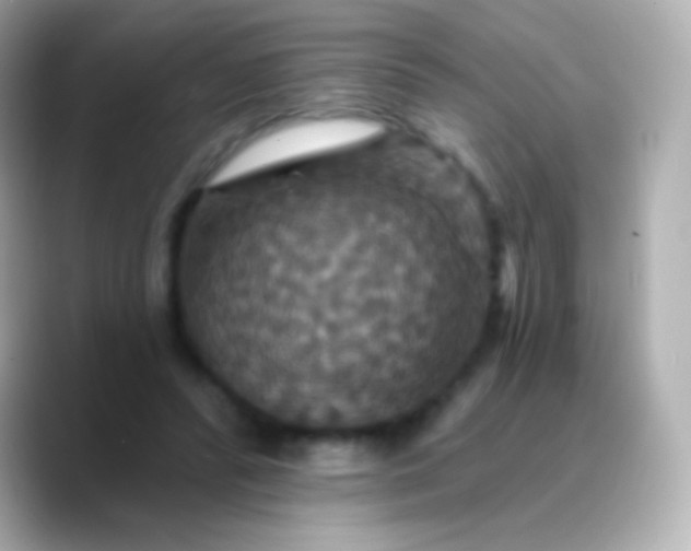 X0000088470400200706051346