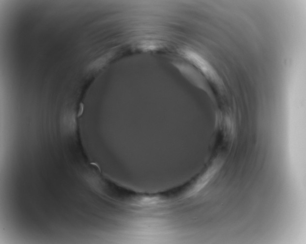 X0000088470401200706051346