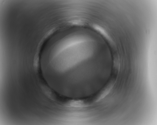 X0000088470403200706051346