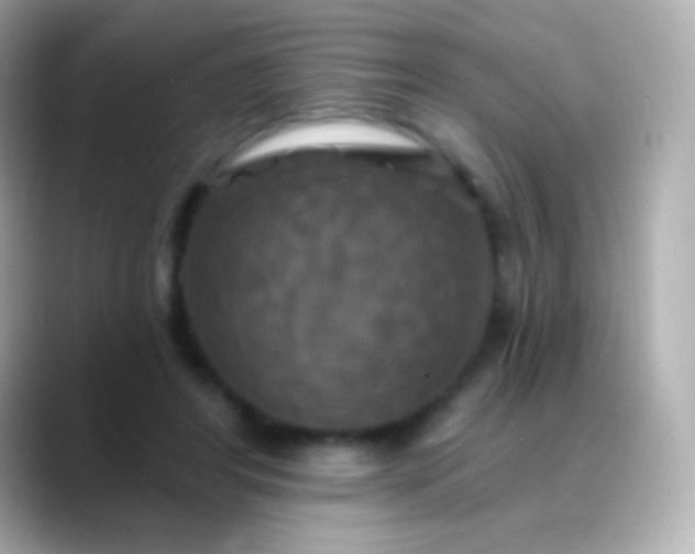 X0000088470404200706051346