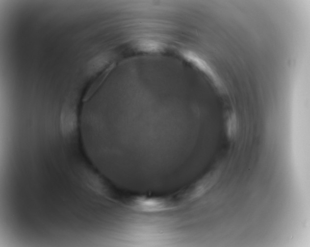 X0000088470407200706051346