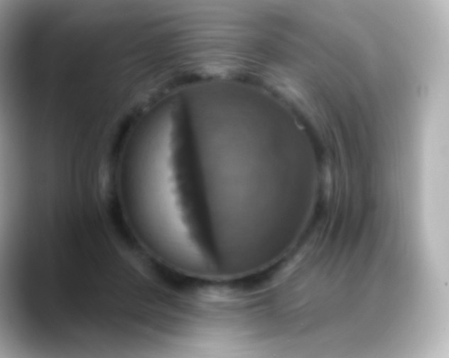 X0000088470408200706051346