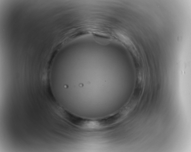 X0000088470409200706051346