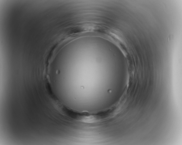 X0000088470411200706051346