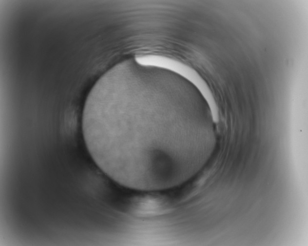 X0000088470412200706051346