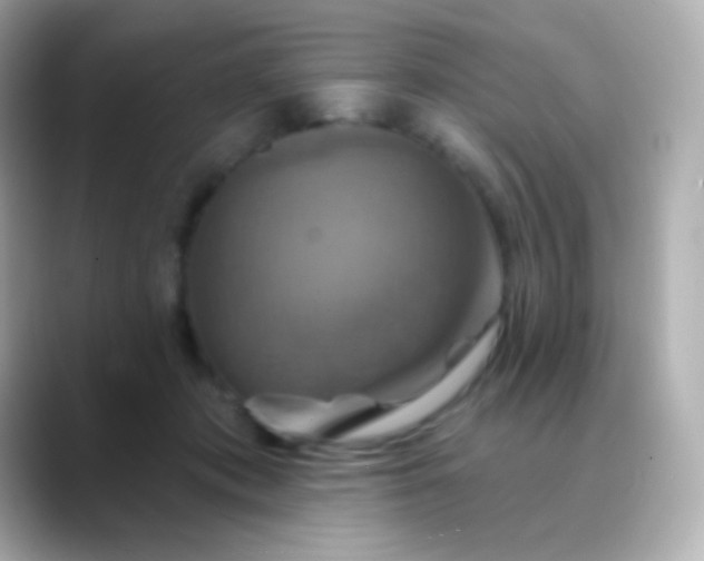 X0000088470413200706051346