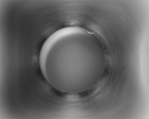 X0000088470415200706051346