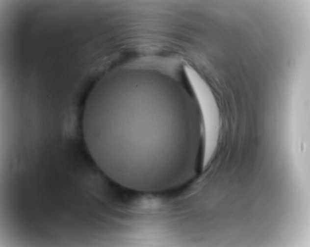 X0000088470416200706051346