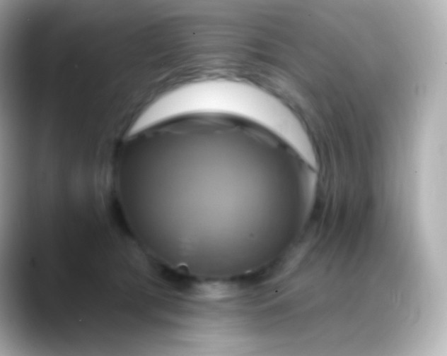 X0000088470417200706051346