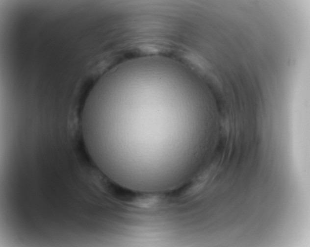 X0000088470418200706051346