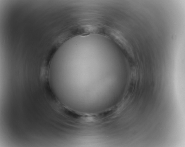 X0000088470419200706051346