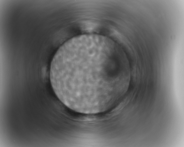 X0000088470420200706051346