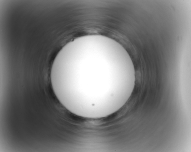 X0000088470422200706051346