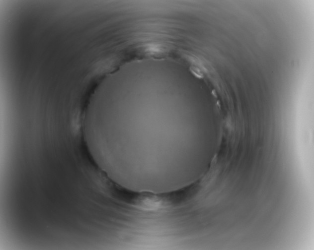 X0000088470423200706051346