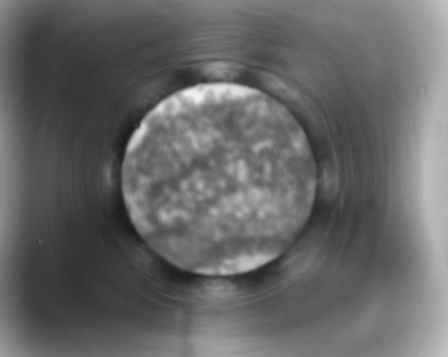 X0000088470424200706051346