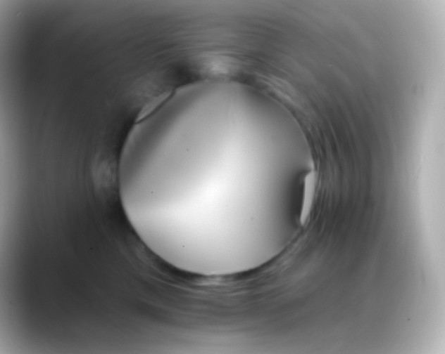 X0000088470425200706051346