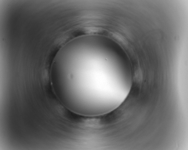 X0000088470426200706051346