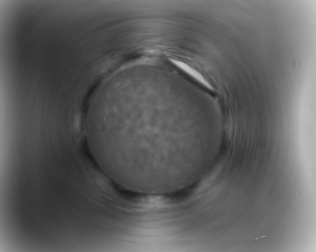 X0000088470428200706051346