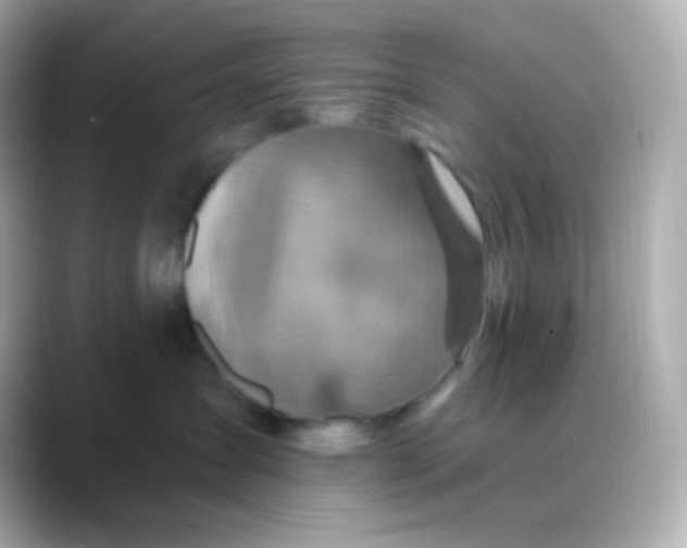 X0000088470431200706051346