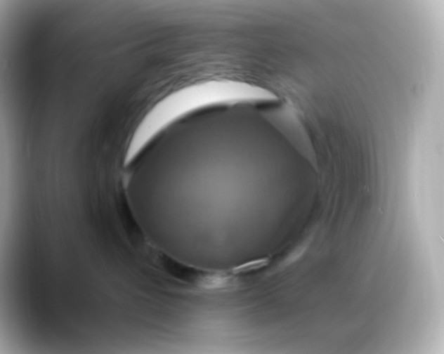 X0000088470432200706051346