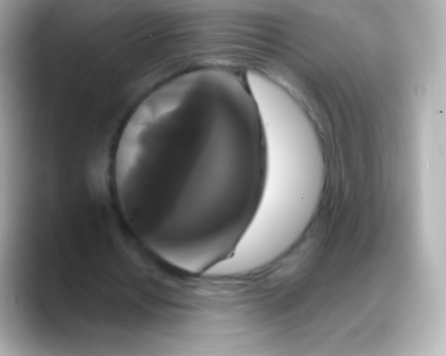 X0000088470434200706051345