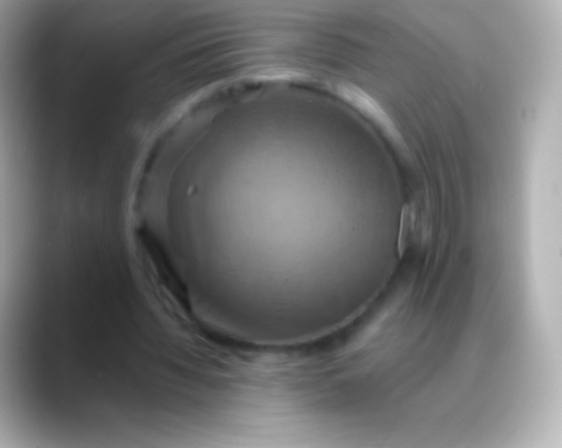 X0000088470436200706051345