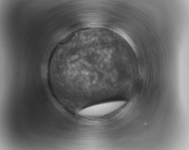 X0000088470437200706051345