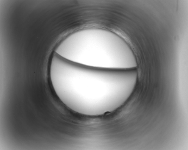 X0000088470438200706051345