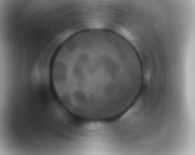 X0000088470439200706051345