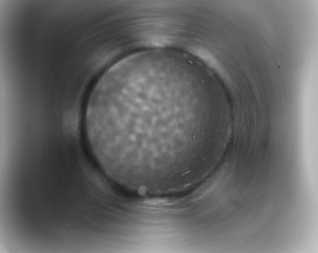 X0000088470440200706051345