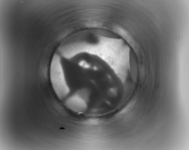 X0000088470441200706051345