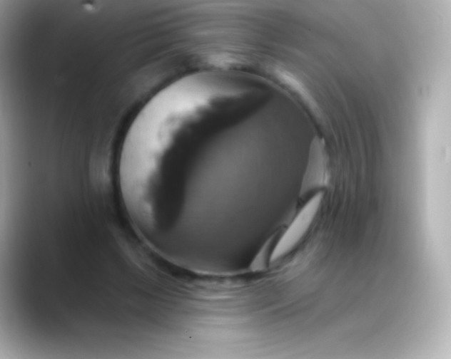 X0000088470443200706051345