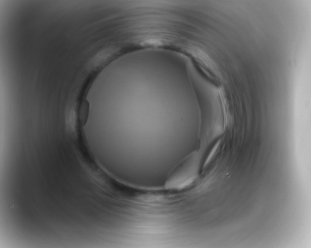 X0000088470444200706051345