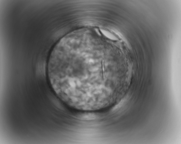 X0000088470445200706051345