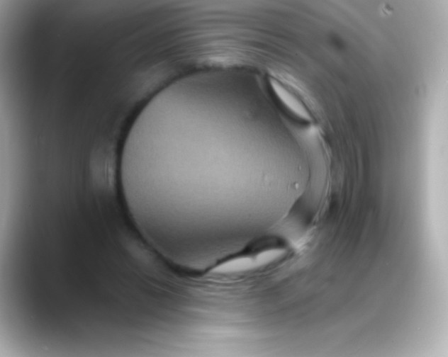 X0000088470446200706051345