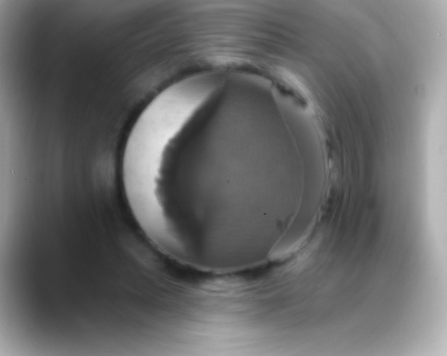 X0000088470447200706051345