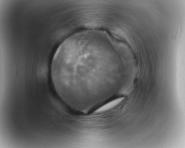 X0000088470448200706051345