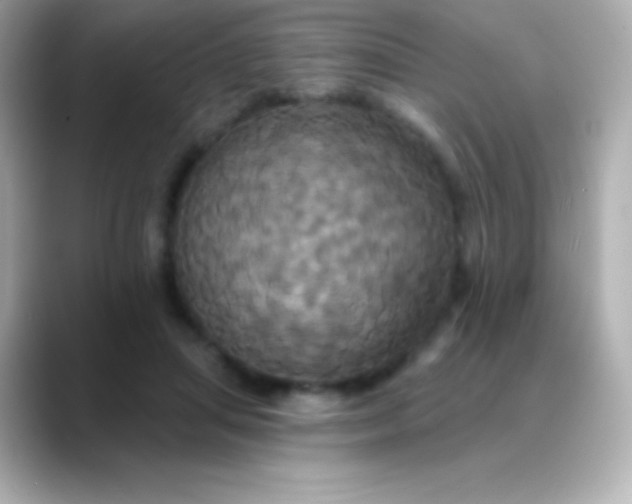 X0000088470455200706051345