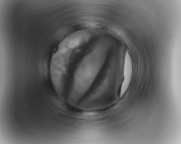 X0000088470457200706051345