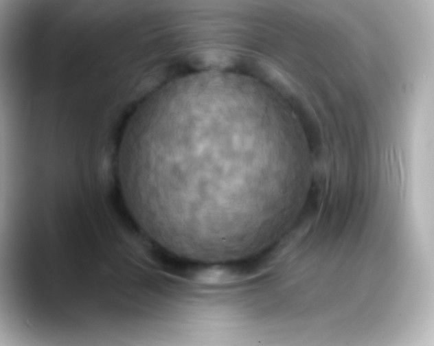 X0000088470460200706051345